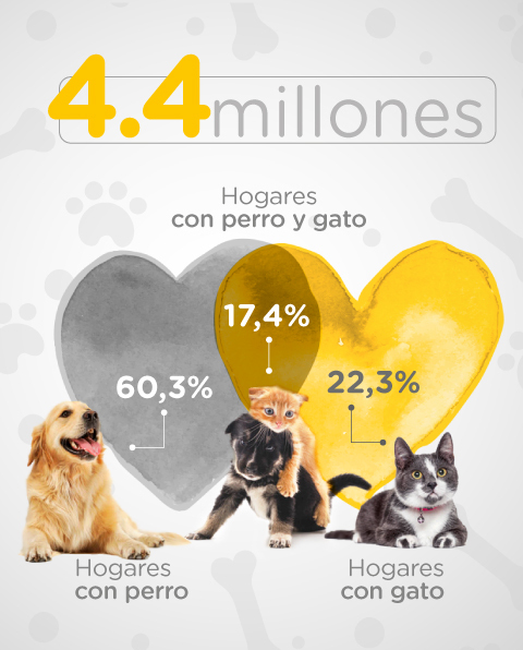 Artes literarias Creyente Clasificar Mercado de mascotas en Colombia: crecimiento durante 2021