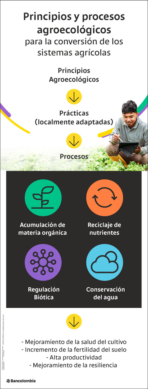 Principios y procesos agroecológicos para la conversión de los sistemas agrícolas