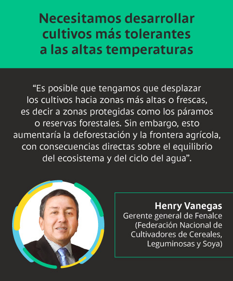 Henry Vanegas, gerente general de Fenalce y su opinión del impacto de las altas temperaturas en los cultivos colombianos.