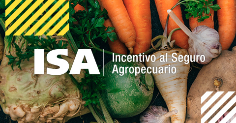 Incentivo al Seguro Agropecuario – ISA, un programa estatal de Colombia