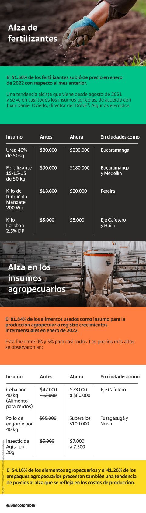 Precios al alza de fertilizantes e insumos agropecuarios en enero de 2022 en Colombia