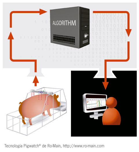 ¿Qué valor puede agregar en la porcicultura esta tecnología?