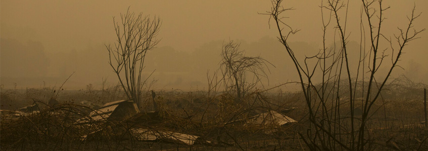 Fotografía sobre vegetación dañada después de que un incendio forestal quemara una granja cerca de Mulino, Oregón, el 10 de septiembre de 2020.