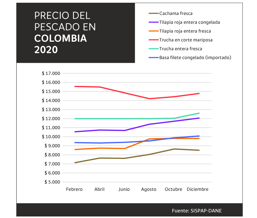 Conozca la variación en el precio del pescado en Colombia en 2020