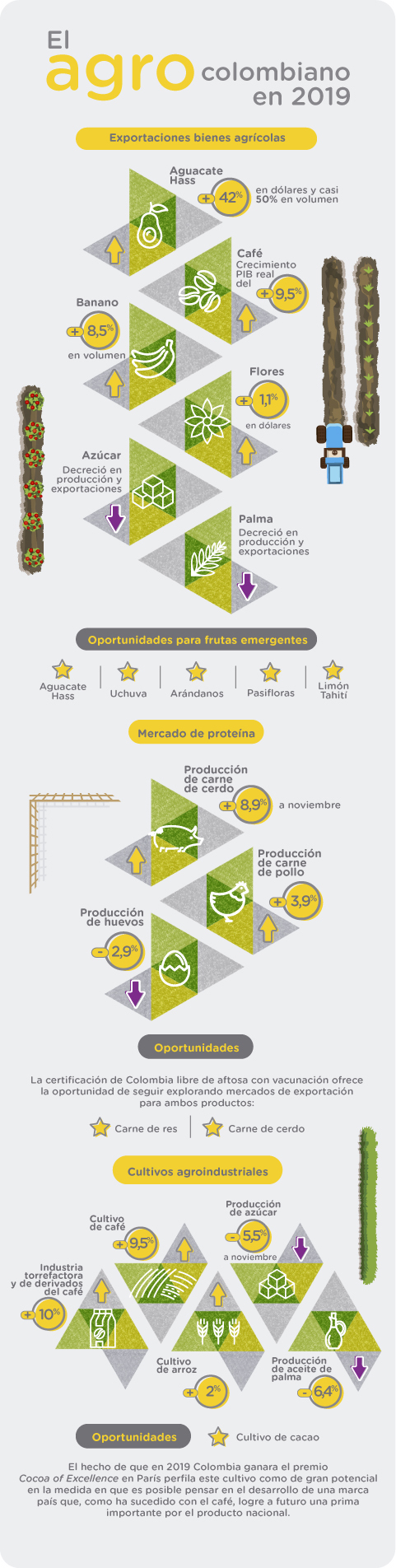 Cifras del sector agropecuario colombiano al cierre de 2019