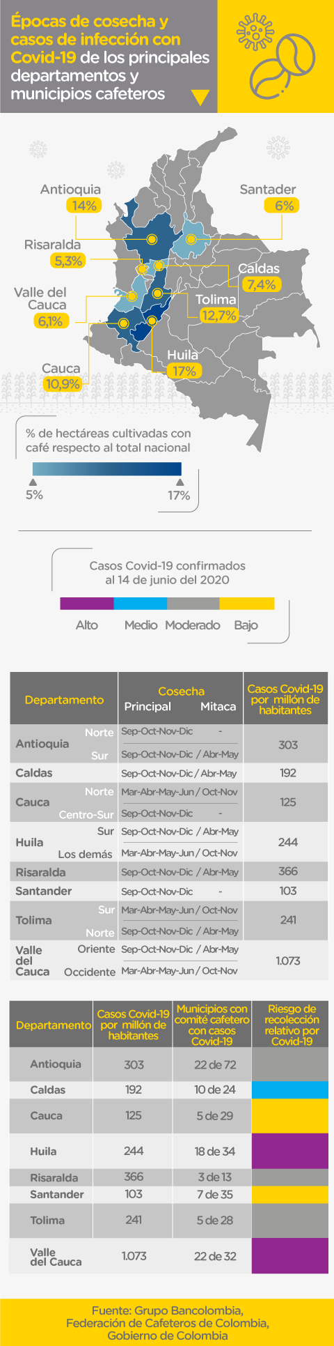 Cuadro comparativo de épocas de cosecha y casos de infección con covid-19 de los principales departamentos y municipios cafeteros.