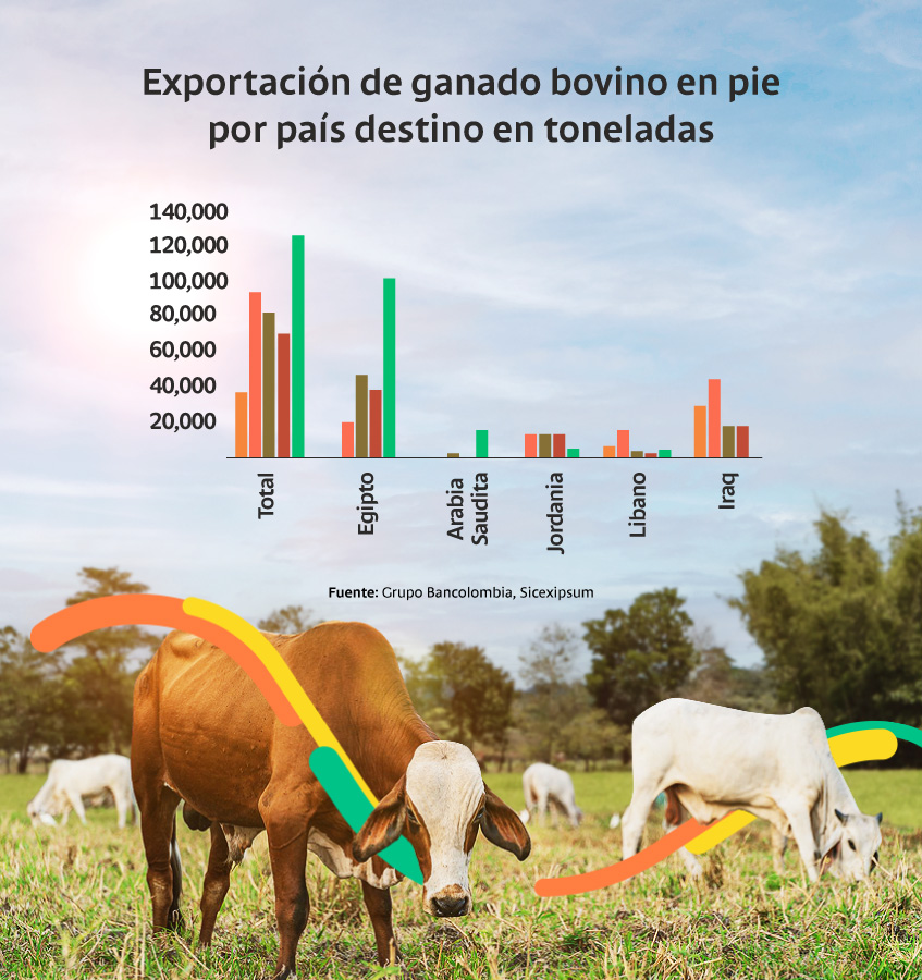 Exportación de ganado bovino en pie por país destino en toneladas