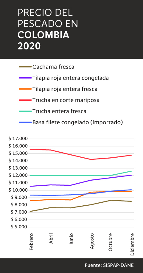 Conozca la variación en el precio del pescado en Colombia en 2020