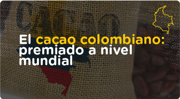 El cacao colombiano: premiado a nivel mundial