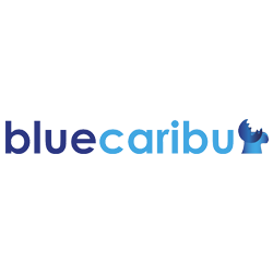 BlueCaribu: crea tu página web gratis y tu tienda virtual desde 99.000 pesos mensuales.