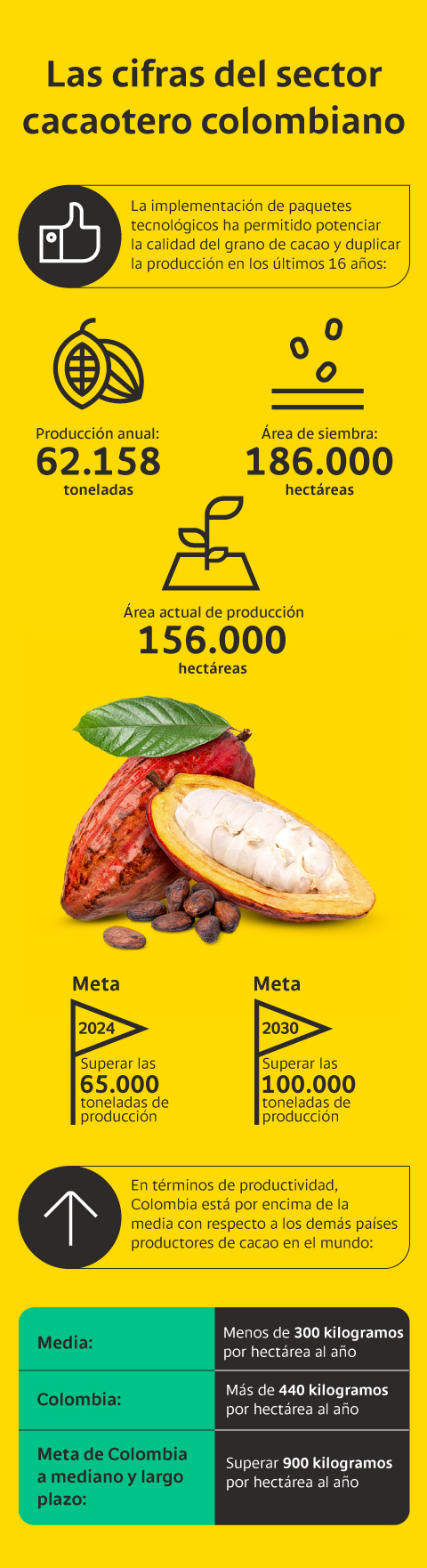 Las cifras del sector cacaotero colombiano