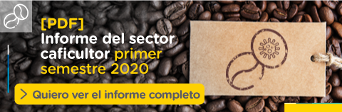 Haz clic y descarga el informe del sector cafetero en Colombia sobre el pasado reciente, la coyuntura actual y el camino por recorrer.