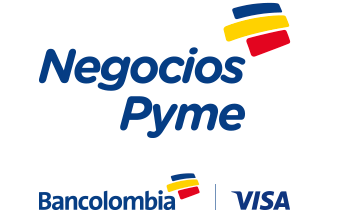 logo Negocios Pyme - Visa