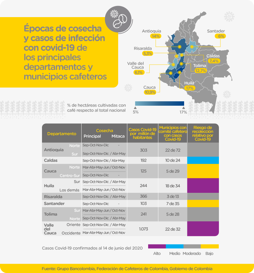 En esta gráfica puedes conocer un comparativo entre las épocas de cosecha y casos de infección con covid-19 en los principales departamentos y municipios cafeteros de Colombia.