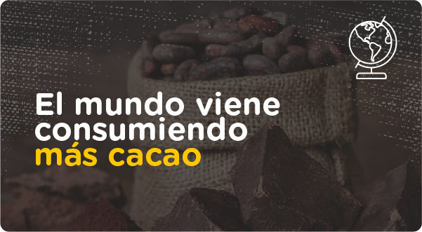 El mundo viene consumiendo más cacao