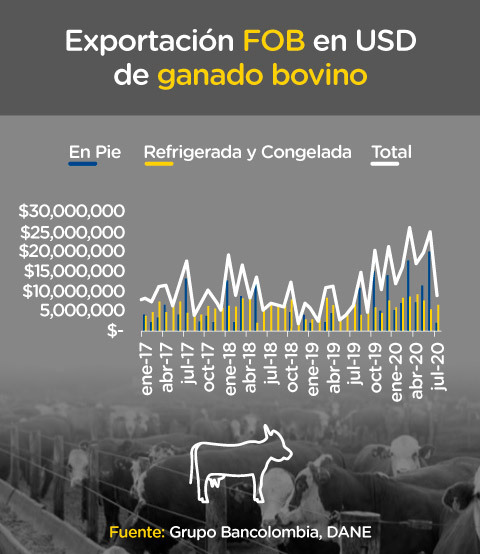 Precio exportación ganado bovino