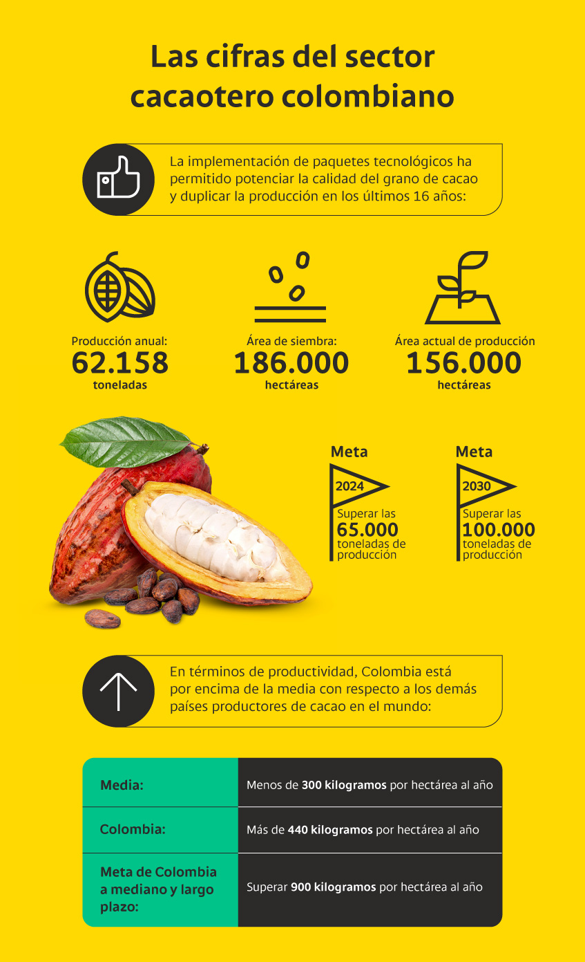 Las cifras del sector cacaotero colombiano