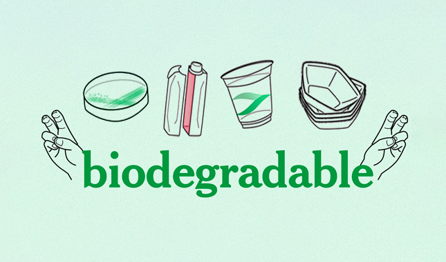 Qué significa biodegradable y cómo aprender a reciclarlos