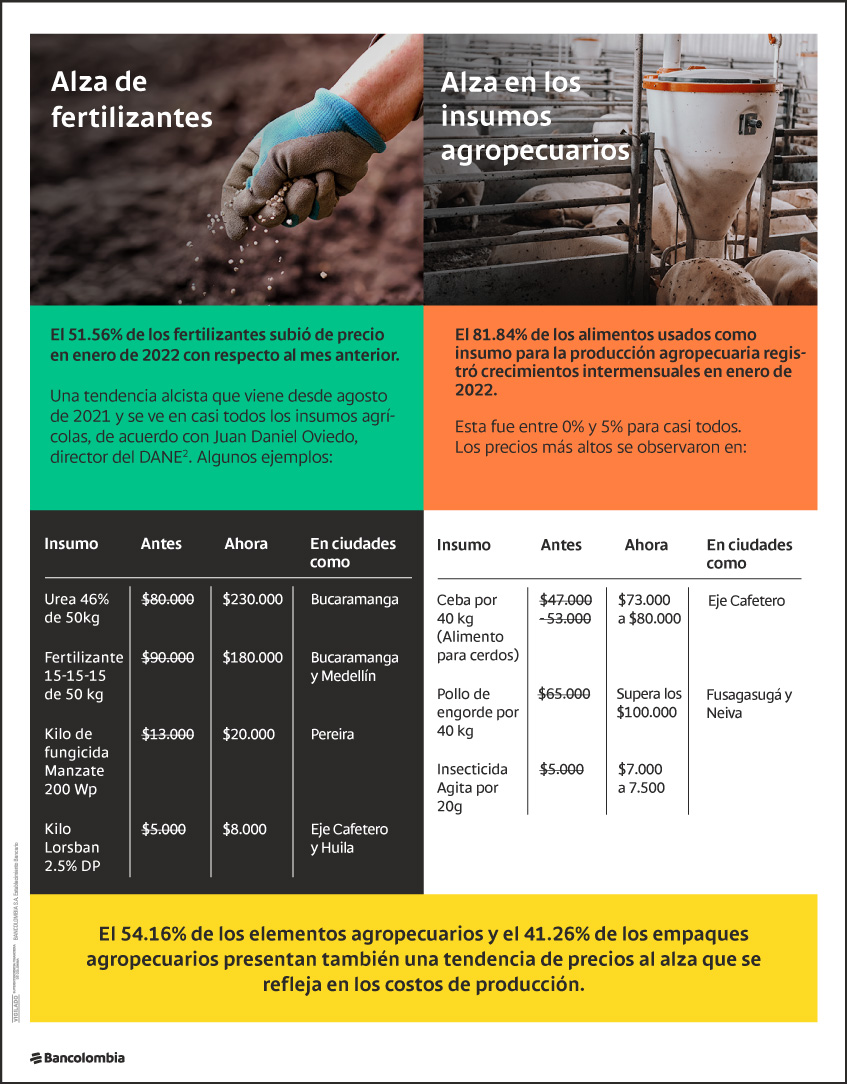 Precios al alza de fertilizantes e insumos agropecuarios en enero de 2022 en Colombia