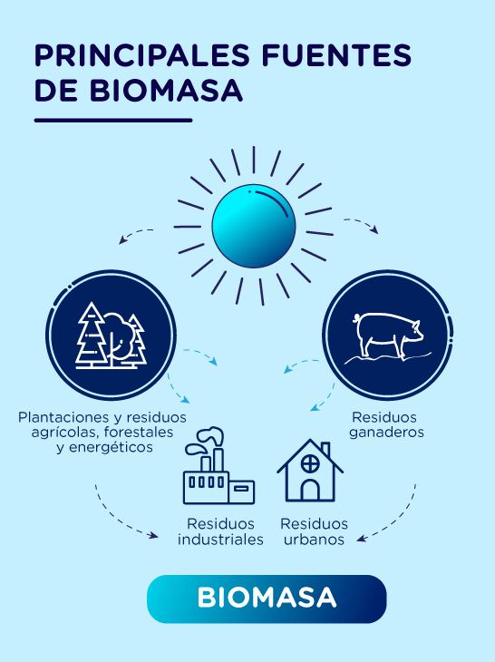 Fuentes biomasa