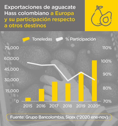 Exportaciones de aguacate hass colombiano en 2020