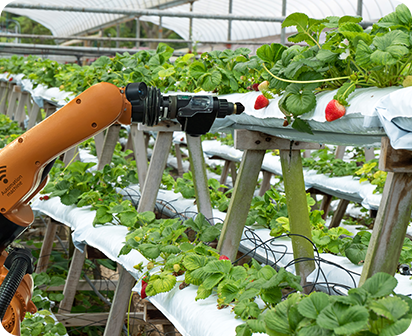 Robótica + agricultura: innovación en los campos colombianos