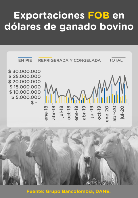 Comparativo exportaciones FOB de ganado bovino en USD entre 2018 y 2020.
