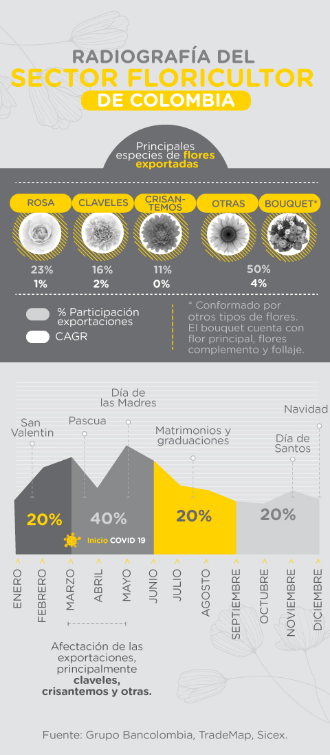 Radiografía del sector floricultor en Colombia