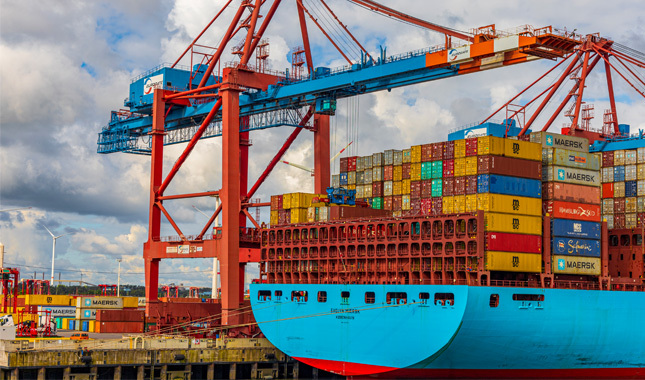 Crisis de los contenedores: retos y oportunidades en la logística internacional