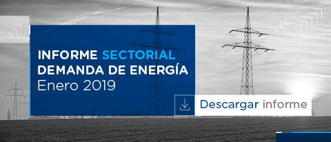Informe sectorial de la demanda de energía con balance de enero de 2019.