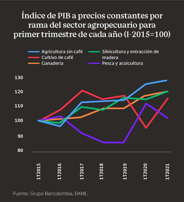 Gráfica comparativa del índice de PIB a precios constantes por rama del sector agropecuario para primer trimestre de cada año (I-2015 = 100).