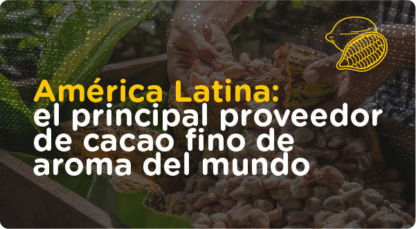 América Latina: el principal proveedor de cacao fino de aroma del mundo