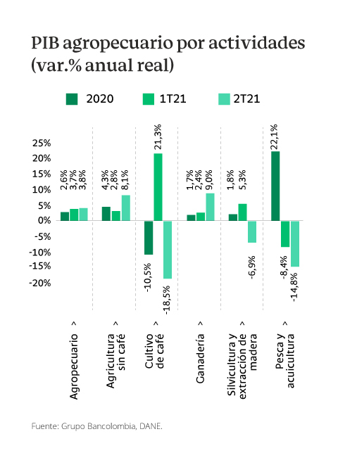 Gráfica del PIB agropecuario por actividades expresado en variación del porcentaje anual real.