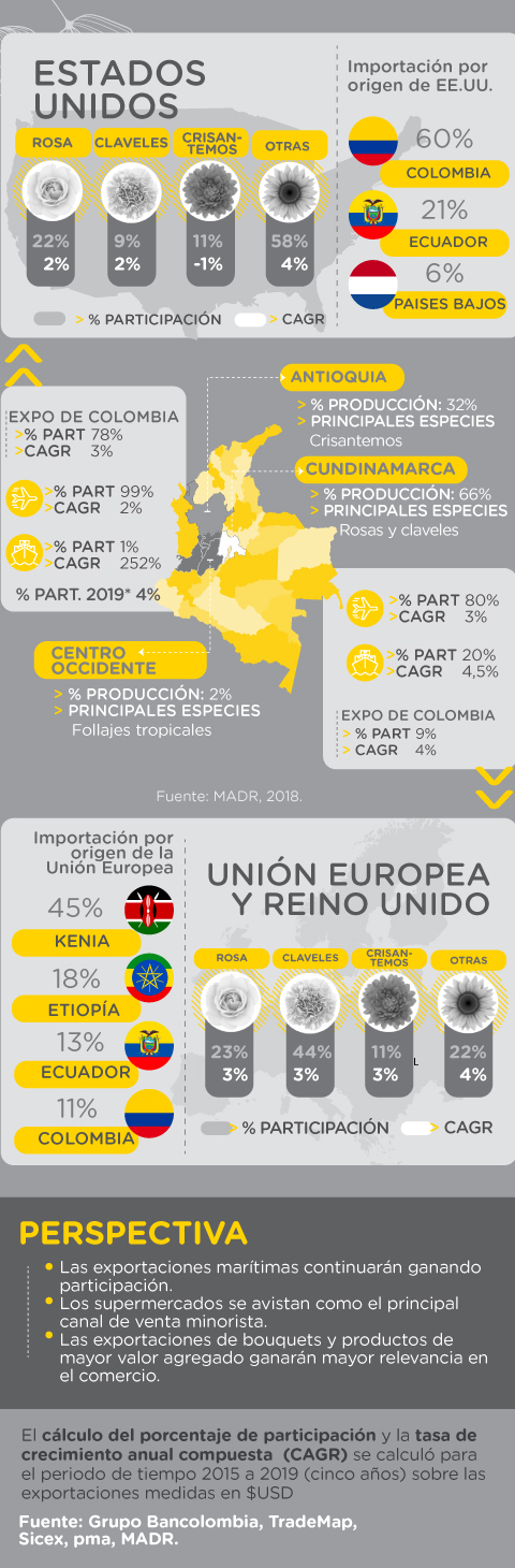 Radiografía del sector floricultor en Colombia