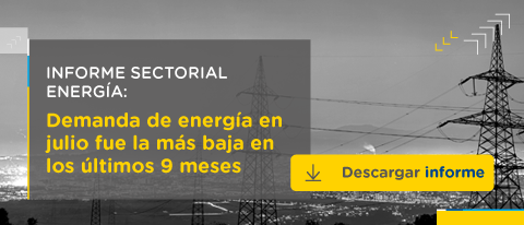 Informe sectorial de la demanda de energía con balance de junio de 2019.